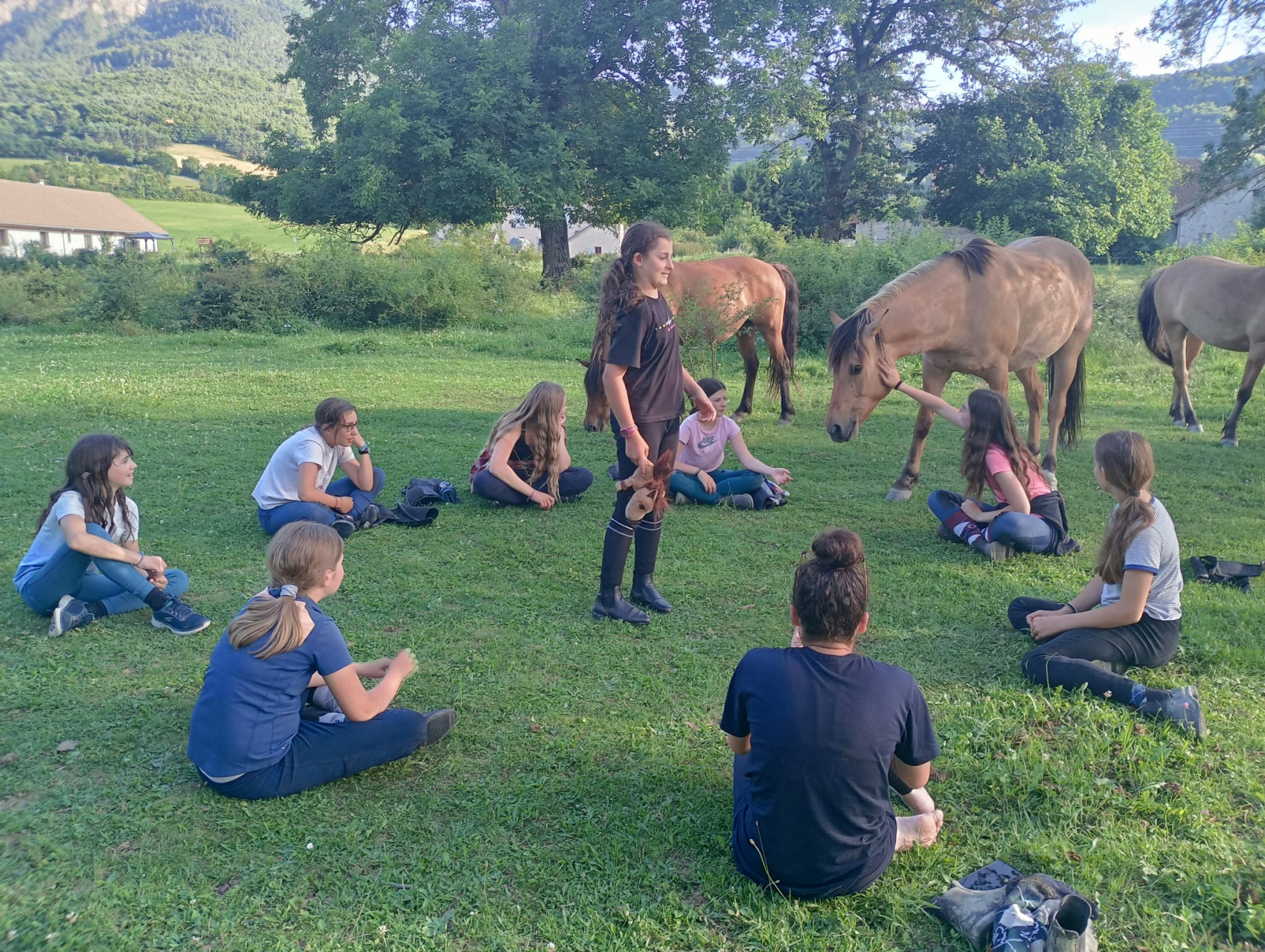 bivouac cheval