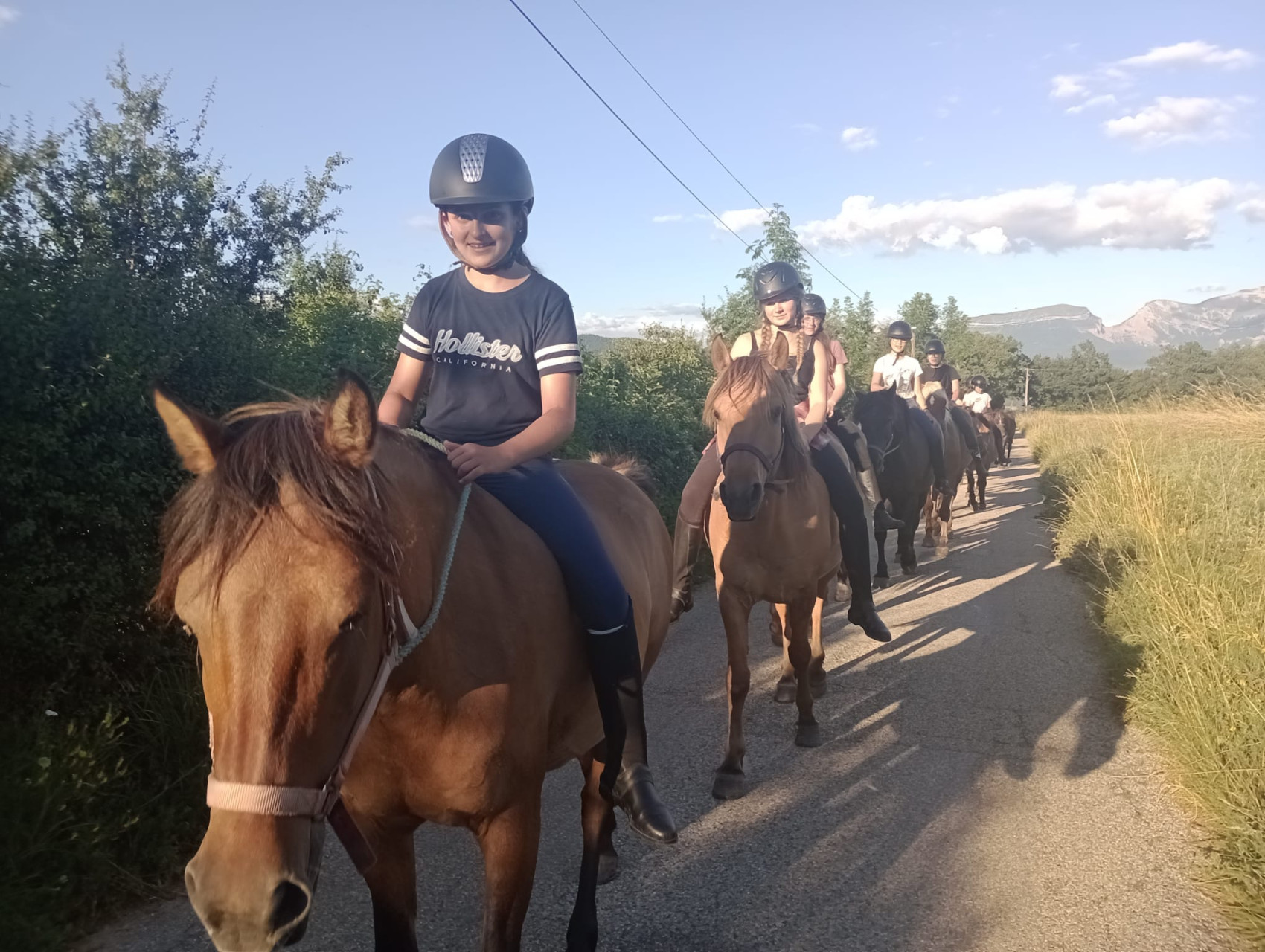 cheval à cru