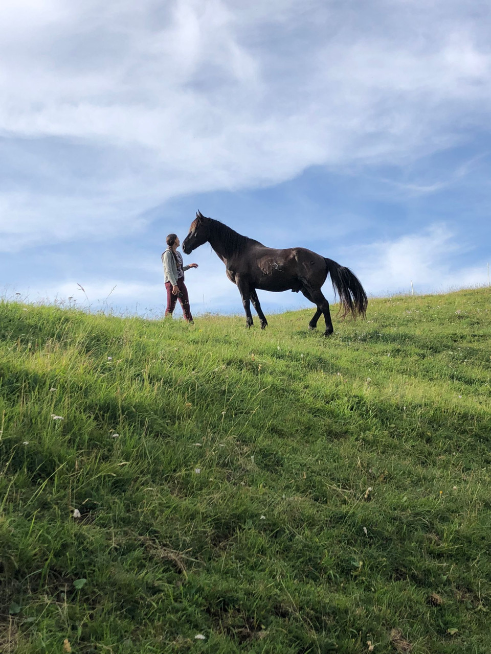 cheval nature