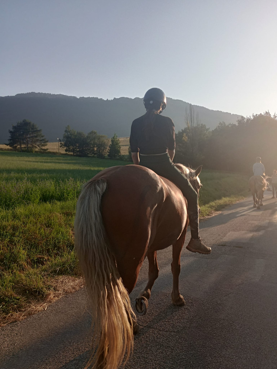 Cheval triéves (2)